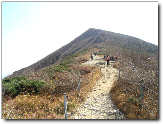 대청봉을 넘다 